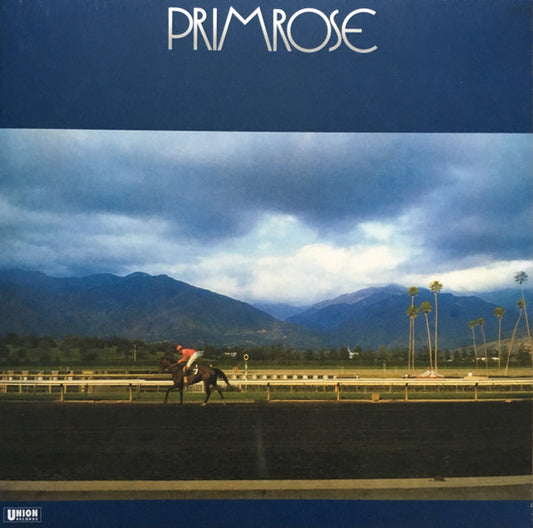 HIROMASA SUZUKI TRIO "Primrose" LP