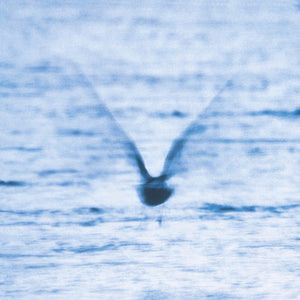 RYO FUKUI "Mellow Dream" LP